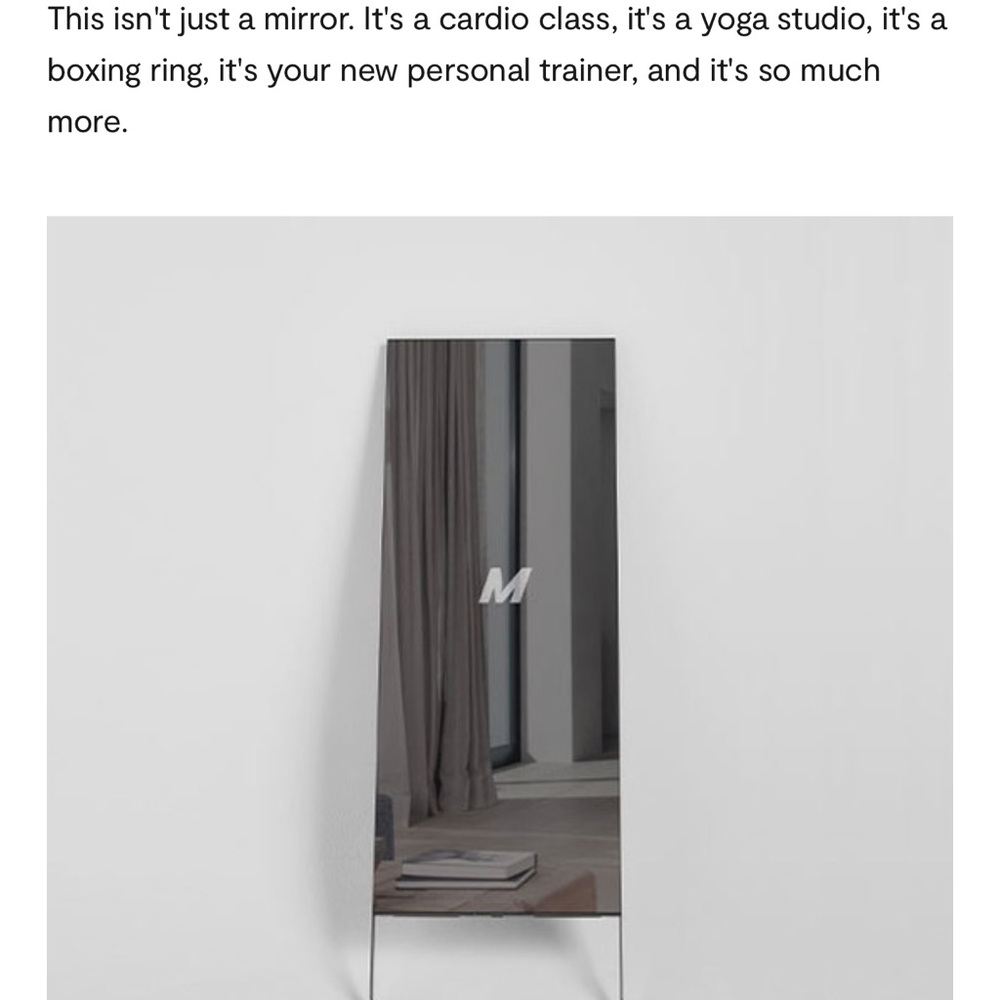 The Mirror. Retail $1,495. Used less than 1 yr. In literal perfect condition.